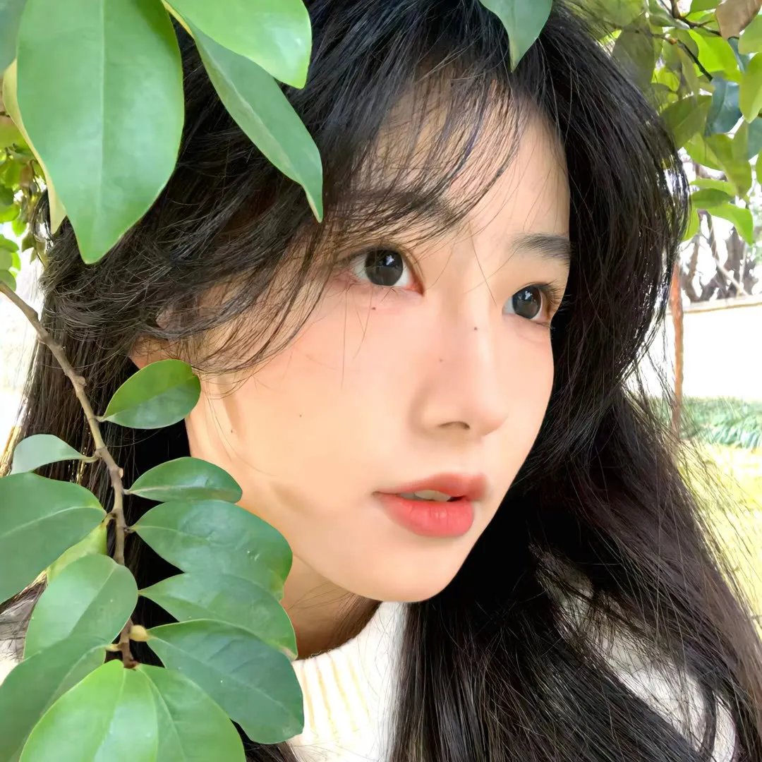十三邀第四季